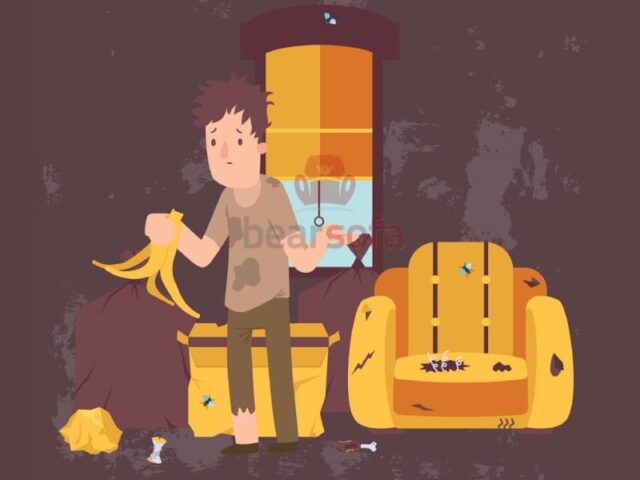 Có nên bọc lại ghế sofa hay không? BearSofa